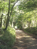 Tak a stroll along a local path